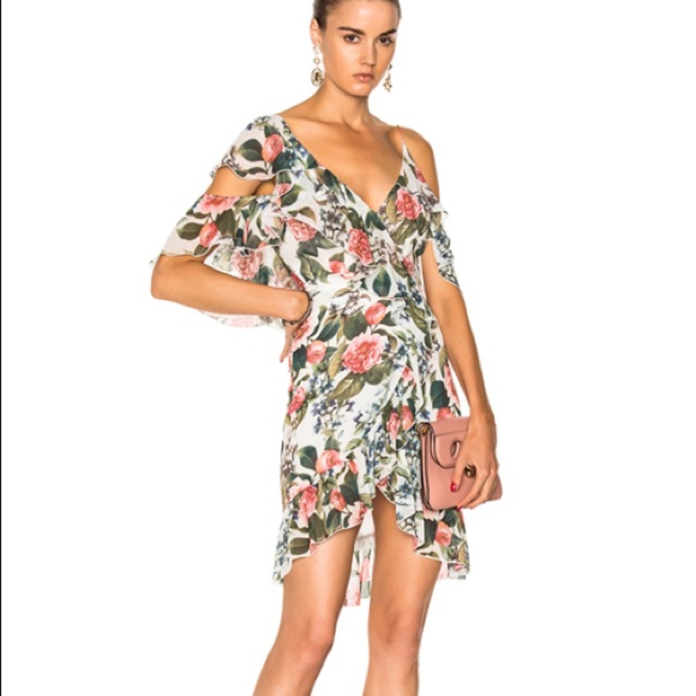 Nicholas Belle Ruffle Dress - Picture 2 of 3